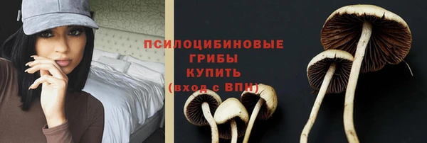 прущий лед Волоколамск