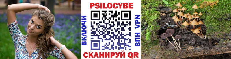 Купить  Николаевск-на-Амуре  Галлюциногенные грибы MAGIC MUSHROOMS 